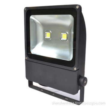 Outdoor COB Factory High Power Flood Light with 5 Years Waranty (brigelux+meanwell)